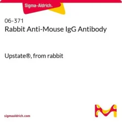 Антитело кролика к IgG мыши