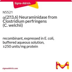 Нейраминидаза α(2→3,6) из Clostridium perfringens (рекомбинантная, экспрессирована в E. coli)