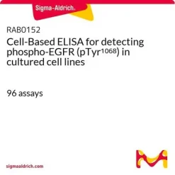 Клеточный ELISA для определения фосфо-EGFR (pTyr1068) в культивируемых клеточных линиях