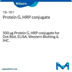 Protein G, HRP conjugate