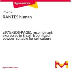 RANTES (CCL5) человеческий, рекомбинантный