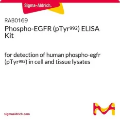 Фосфо-EGFR (pTyr992) ELISA набор