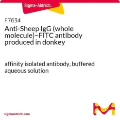 Антитела к IgG овцы (цельная молекула) с FITC (ослиные)