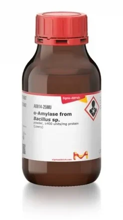 α-Амилаза из Bacillus sp.