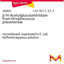 β-N-Ацетилглюкозаминидаза из Streptococcus pneumoniae