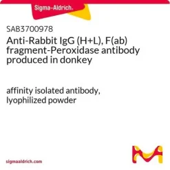 Антитело к IgG кролика (H+L), F(ab) фрагмент-пероксидаза (осел)