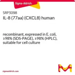 Интерлейкин-8 (CXCL8) человека