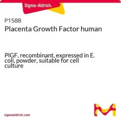 Плацентарный фактор роста человека (PlGF)