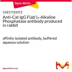 Антитело к кошачьему IgG F(ab')2-щелочная фосфатаза (кролик)