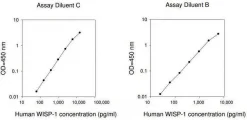 Набор для ИФА Human WISP-1/CCN4