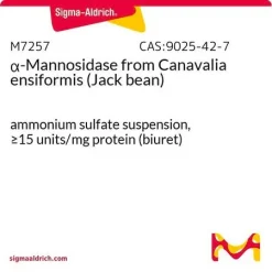 α-Маннозидаза из Canavalia ensiformis (бобы джека)