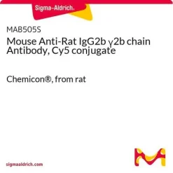 Мышиное анти-крысиное антитело к цепи IgG2b γ2b, конъюгат Cy5