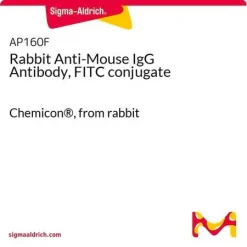 Антитело кролика к IgG мыши, конъюгированное с FITC