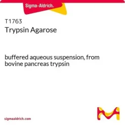 Трипсин-агароза (из поджелудочной железы быка)
