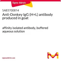 Антитела к IgG осла (H+L)