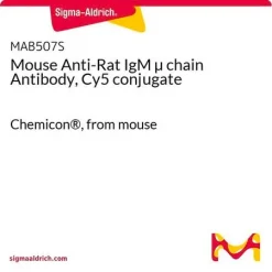 Антитело мышиное анти-крысиное к IgM μ цепи, конъюгированное с Cy5