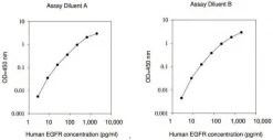 Human EGFR / ErbB1 ELISA Kit
