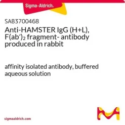 Антитела к IgG хомяка (H+L) F(ab′)2
