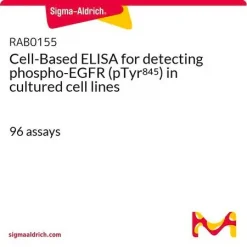 Клеточный ELISA набор для обнаружения фосфо-EGFR (pTyr845) в культивируемых клеточных линиях