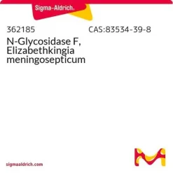 N-Гликозидаза F (PNGase F) из Elizabethkingia meningosepticum