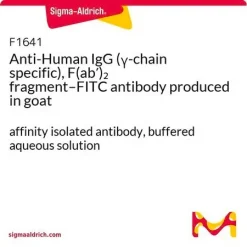Антитело к IgG человека (γ-цепь специфическое), фрагмент F(ab′)2–FITC (козье)