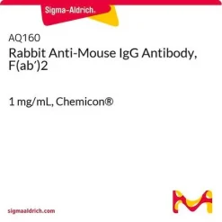 Антитело кролика против IgG мыши, F(ab')2