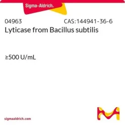 Lyticase из Bacillus subtilis