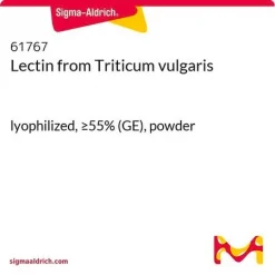 Лектин из зародышей пшеницы (WGA)