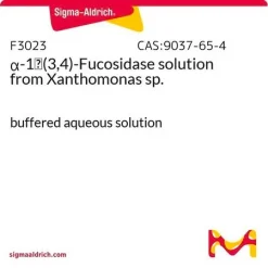 α-1→(3,4)-Фукозидаза, забуференный водный раствор, из Xanthomonas sp.