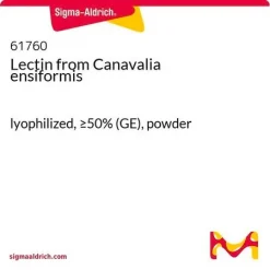 Конканавалин A (лектин из Canavalia ensiformis), лиофилизированный порошок