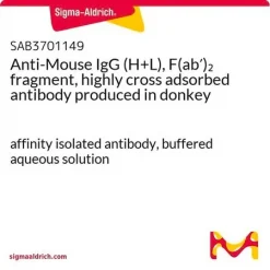 Антитело Anti-Mouse IgG (H+L), фрагмент F(ab′)2, высокоперекрестно адсорбированное, ослиное