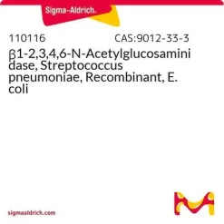 β1-2,3,4,6-N-Ацетилглюкозаминидаза, рекомбинантная, из Streptococcus pneumoniae, продуцируемая в E. coli