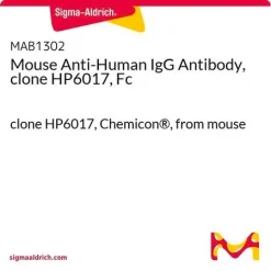 Моноклональное антитело мыши против IgG человека (Fc), клон HP6017