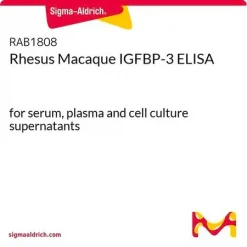 IGFBP-3 ELISA набор для макака-резус