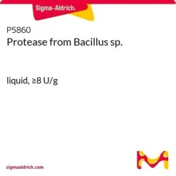Протеаза из Bacillus sp.