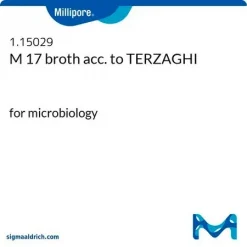 Бульон M 17 по Терцаги