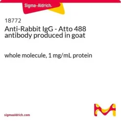 Антитело Anti-Rabbit IgG с флуоресцентной меткой Atto 488 (козьи)