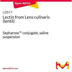 Лектин из чечевицы (Lens culinaris) конъюгат с Sepharose, суспензия в физиологическом растворе