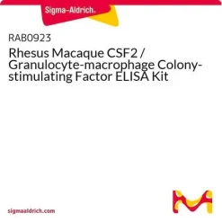 Набор ELISA для CSF2 (ГМ-КСФ) макаки-резуса