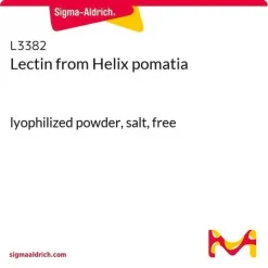 Лектин из Helix pomatia