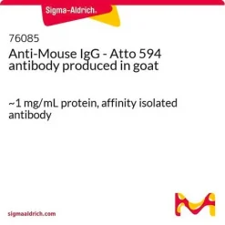 Антитела к IgG мыши (Atto 594), козьи