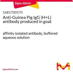 Антитела к IgG (H+L) морской свинки (козьи)