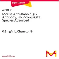Мышиное антитело против IgG кролика, конъюгат с HRP, с видовой адсорбцией