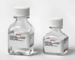 β-Глюкуронидаза из моллюсков Patella vulgata (водный раствор)