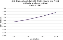 Антитело к Lambda легкой цепи человека (связанные и свободные), полученное в козе