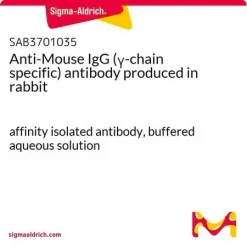 Антитело к IgG мыши (специфичное к γ-цепи), полученное в кролике