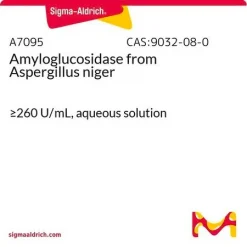 Амилоглюкозидаза из Aspergillus niger