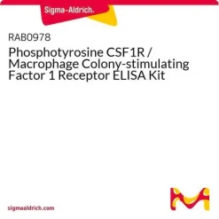 Набор для ИФА детекции фосфотирозина рецептора CSF1R (M-CSF рецептора)