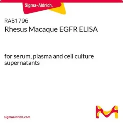 Rhesus Macaque EGFR ELISA