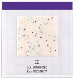 MC-Media Pad EC